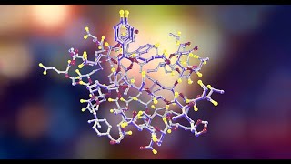 Bioidentical Hormone Replacement Therapy