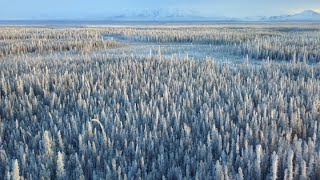Snowex Sets Sights On Alaska