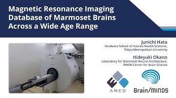 Magnetic Resonance Imaging Database of Marmoset Brains Across a Wide Age Range