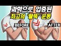 과학이 밝혀낸 가장 효율적으로 '굵은 팔' 만드는 방법 (1/2)