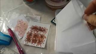 How I Store My Pressed Flowers