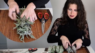 DIY - How to Make Sage & Lavender Smudge Sticks