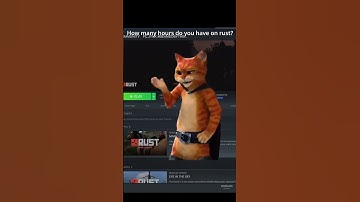 "How many hours do you have in rust?"