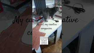 SMR Sewing a French Linen Scarf with My Supervisor(Cat Edition!) #video#Linen accessory French scarf