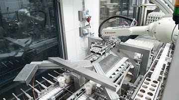 Packing and Palletising Dairy Products at Thise