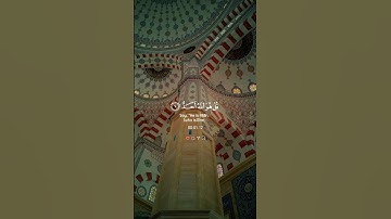 القرآن الكريم {سورة الإخلاص} بصوت🎙️الشيخ يوسف العيدروس ❤️‍🩹🕌🌙🥀