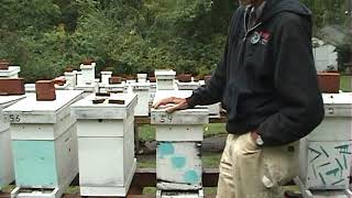 Getting Ready For Winter Nosema Treatment