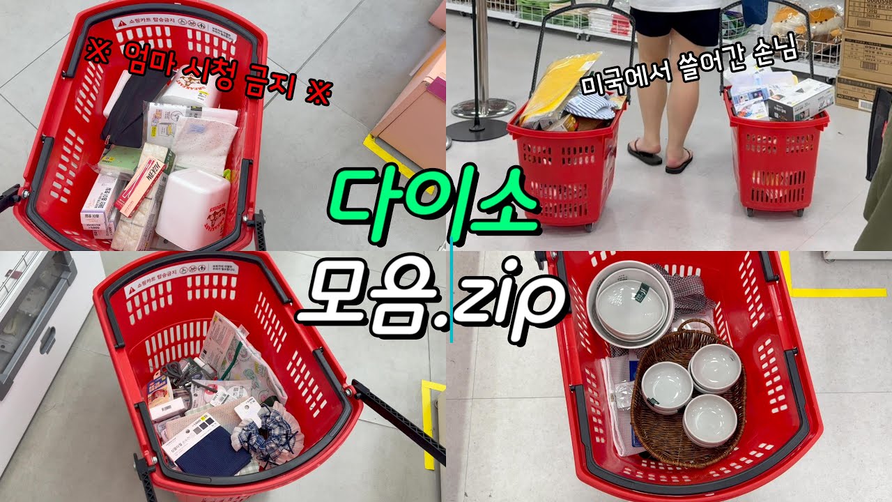 대환장 다이소 & 모던하우스 쇼핑🛒미국에서 온 손님편/트조 에코백 언박싱