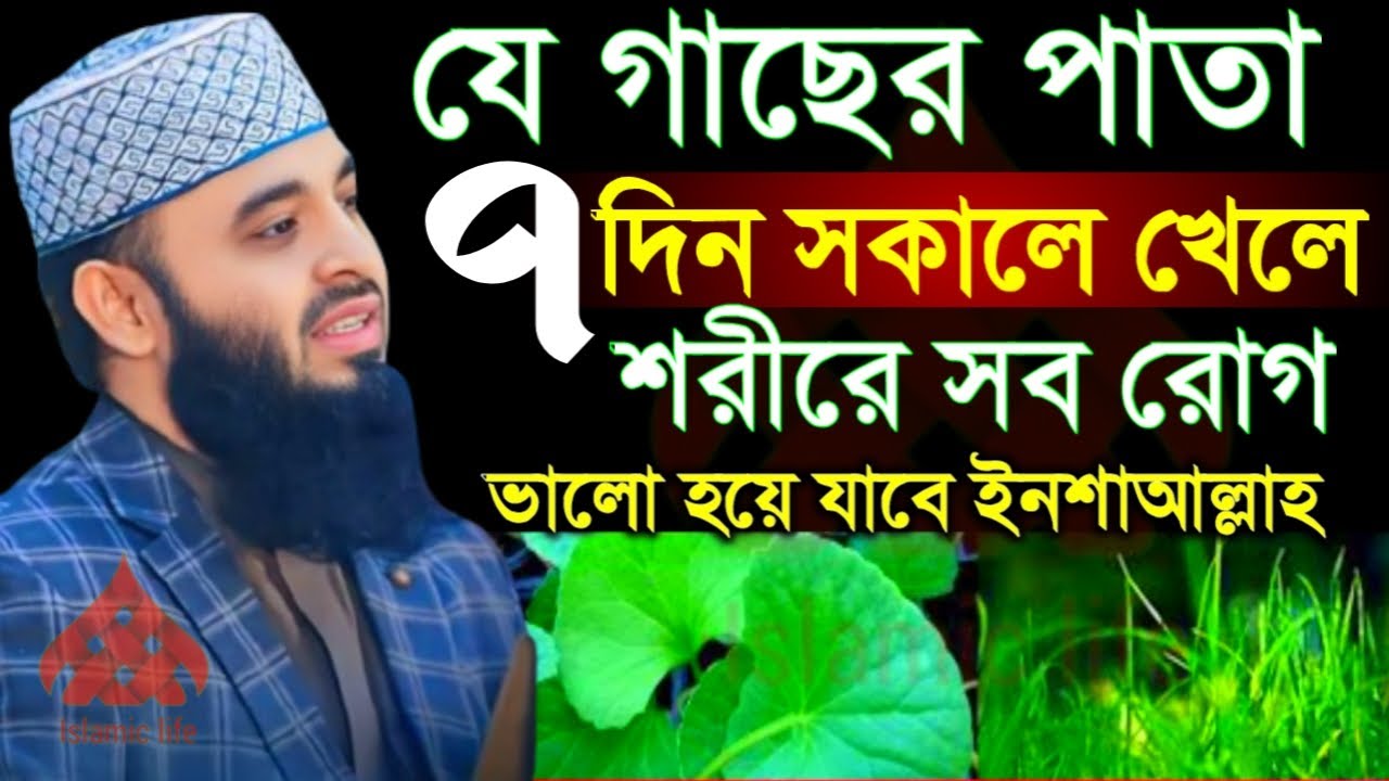 🛑যে গাছের পাতা ৭ দিন সকালে খেলে সব রোগ ভালো হয়ে যাবে ইনশাআল্লাহ🔴মিজানুর রহমান আজহারী 1/17/026