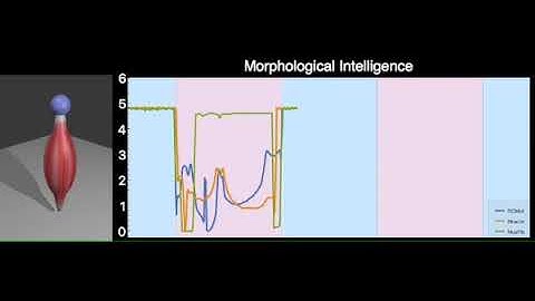 Quantifying Morphological Computation on Hopping Models