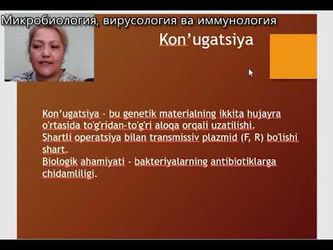 Video: Biologiyada genlarning duplikatsiyasi nima?