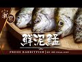 【麻煩哥】😋游水 泥鯭 - 清蒸 • 湯窩 Fresh Rabbitfish  | (⭐中文字幕⭐) 泥鯭點處理先「唔腥唔苦」? 一集睇齊🌟洗魚/蒸魚/滾清甜泥鯭湯做法👍, 「人間美食亅詳細分享😍！