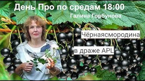 #APL GO Весна. Поговорим об иммунитете Биолог. Горбунова Галина. День PRO по средам в 18:00