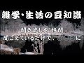 【雑学】【聞き流し】雑学・生活の豆知識…健康・美容・ダイエット、取りまとめ集。睡眠・作業用にも。