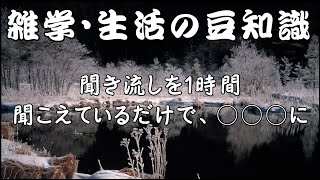 【雑学】【聞き流し】雑学・生活の豆知識…健康・美容・ダイエット、取りまとめ集。睡眠・作業用にも。