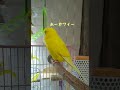 実は既に主を食べていたトリ