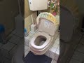 ウチの和式トイレで両用型の洋式トイレに Part3/3