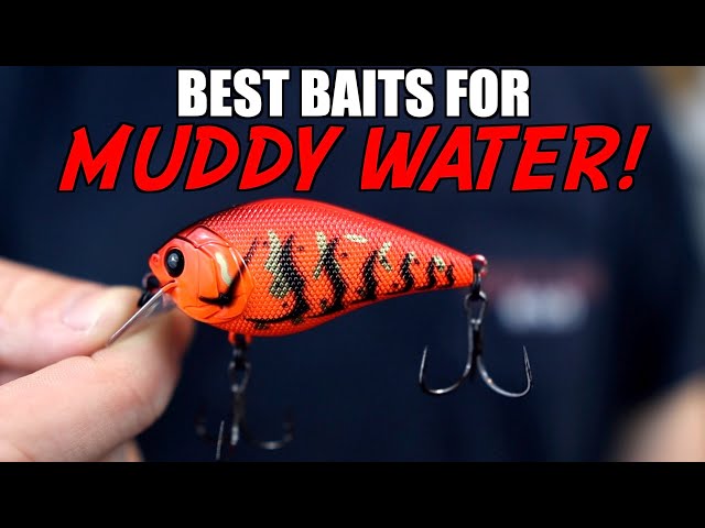best bass rapala lures BAIKALBASS Fishing Tackle Kits Hard Baits Minnow Pencil VIB Crankbaits Topwater Floating Lures Assorted Fishing Tackle Sets (006-43pcs) : Sports & Outdoors Rod/Reel Combos Trolled or cast this Color:Green Pumpkin (Red Flake/042J) Garcia Black Max Abu