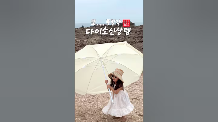 신상인데 벌써 품절각……🏃🏃‍♀️다이소 감성파라솔 나왔어요🤎