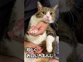 うなぎの爪切り #shorts