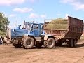В Вологодской области идет заготовка кормов