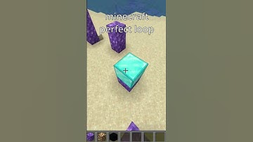 Minecraft Perfect Loop #loop #perfect #minecraft #funny #memes #fyp #bhfyp #pigstep