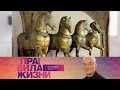 Правила жизни. Эфир 04.05.2021 / Телеканал Культура