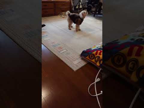 うれしいな！