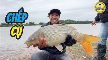 Câu Dính Cá Chép Cụ Ở Hồ Câu Bán Tự Nhiên Nước Sâu 4 Mét?