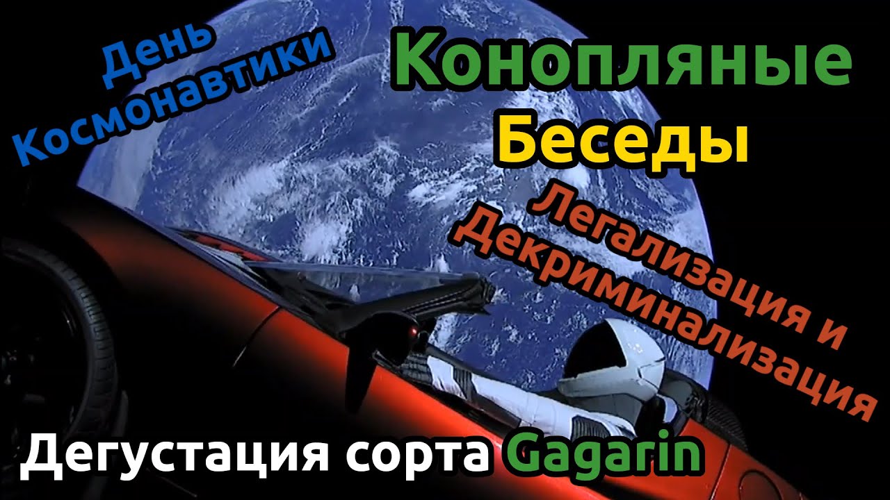 Что такое декриминализация и легализация. Дегустация сорта Gagarin. Конопляные Беседы