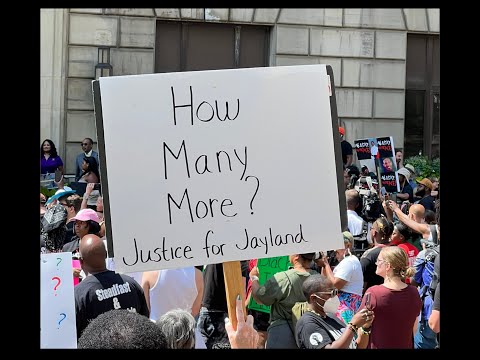 Tariq Nasheed: Are We Experiencing Ethnocide?