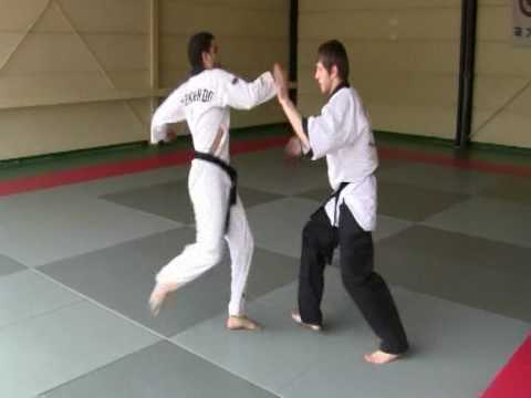 11 HOSHIN MOOSOOL / Self-defense & contrle au sol / Leg lock & submission / France 2010