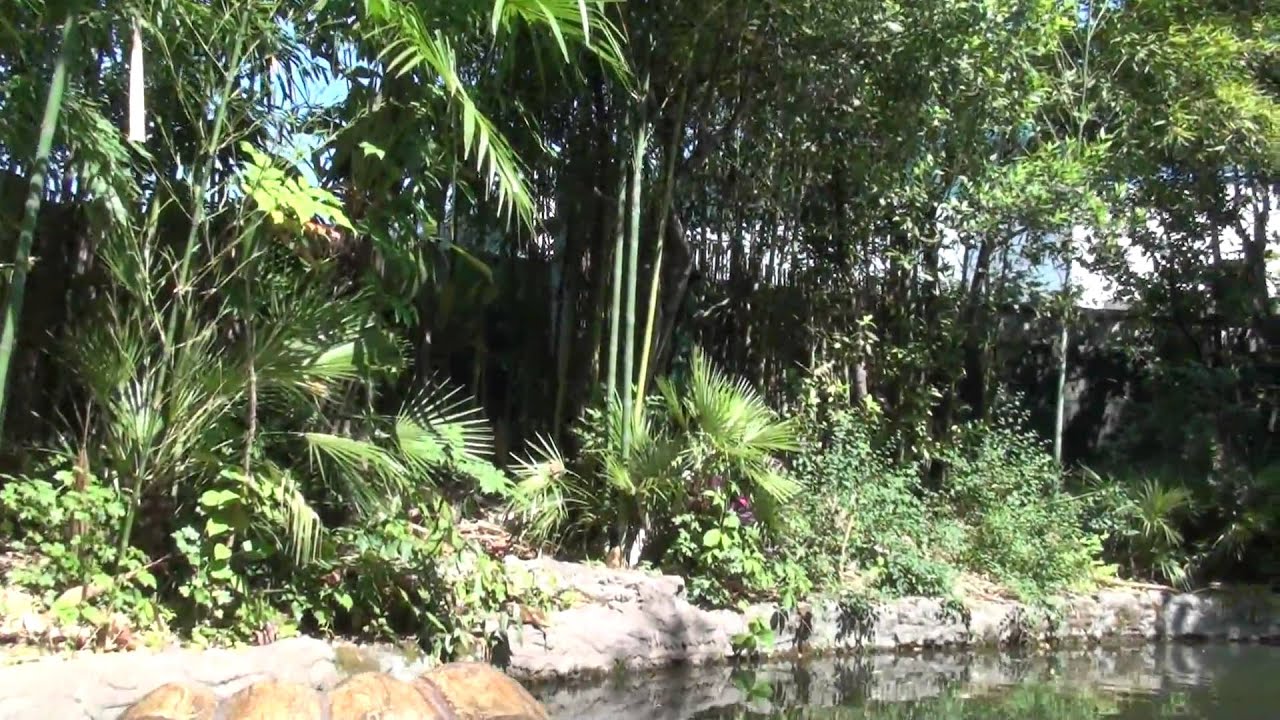 Gardaland Tunga on Ride HD BEST QUALITY