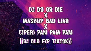 DJ DO OR DIE X MASHUP BAD LIAR X CIPERI PAM PAM PAM || DJ OLD FYP TIKTOK