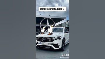 Only 1% Can Find All 11 Hidden Ducks 👀🦆 | Impossible Puzzle #findthedifference #hiddenchallenge