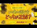【デザインクイズ】この色の選び方、どっちが正解？配色のセンスを磨いておこう | ベーコン #デザインクイズチャレンジ