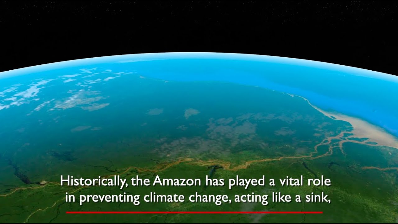 What are the Greenhouse Gases? and the Amazon's vital role in ...