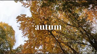 Download 北ドイツより 【 近所の森へ紅葉がり】bgm | Don't Waste My Time - Victor Lundberg Video MP3 北ドイツより 【 近所の森へ紅葉がり】bgm | Don't Waste My Time - Victor Lundberg
