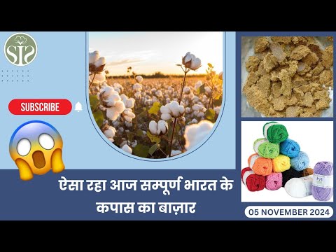 जानिए कैसा रहा आज सम्पूर्ण भारत का रुई बाजार aaj ka kapas ka bajar Cotton market rate today #cotton