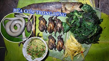 SĂN ĐÊM, NGỦ RỪNG, CẮM CÂU, CUỘC SỐNG TRONG RỪNG MÙA ĐÔNG - Vào Rừng Sống | T19
