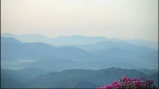 Download Lagu 동요 따오기 - Tenor Michael Ha, Pianist Christina Yeo. Koreanisches Kinderlied - Ttaogi (Ibis) MP3