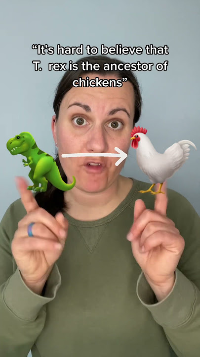Did chickens evolved from T.rex? #paleontology #dinosaur #trex #chicken #learn