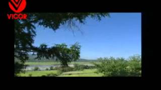 KINABUHING BUKIDNON / MAX SURBAN chords