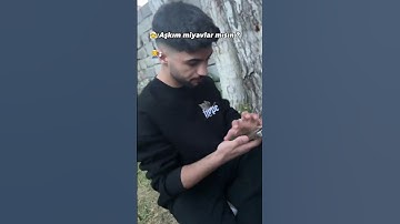 Ağız tadıyla miyavlayamadık 😅 #komedi