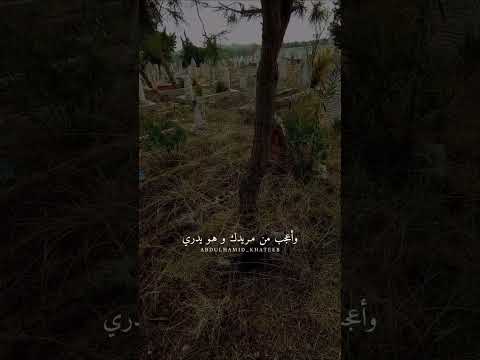 ومن يأمنكي يا دنيا الدواهي