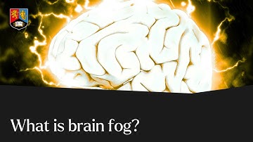 What is brain fog and why do we get it? | University of Birmingham