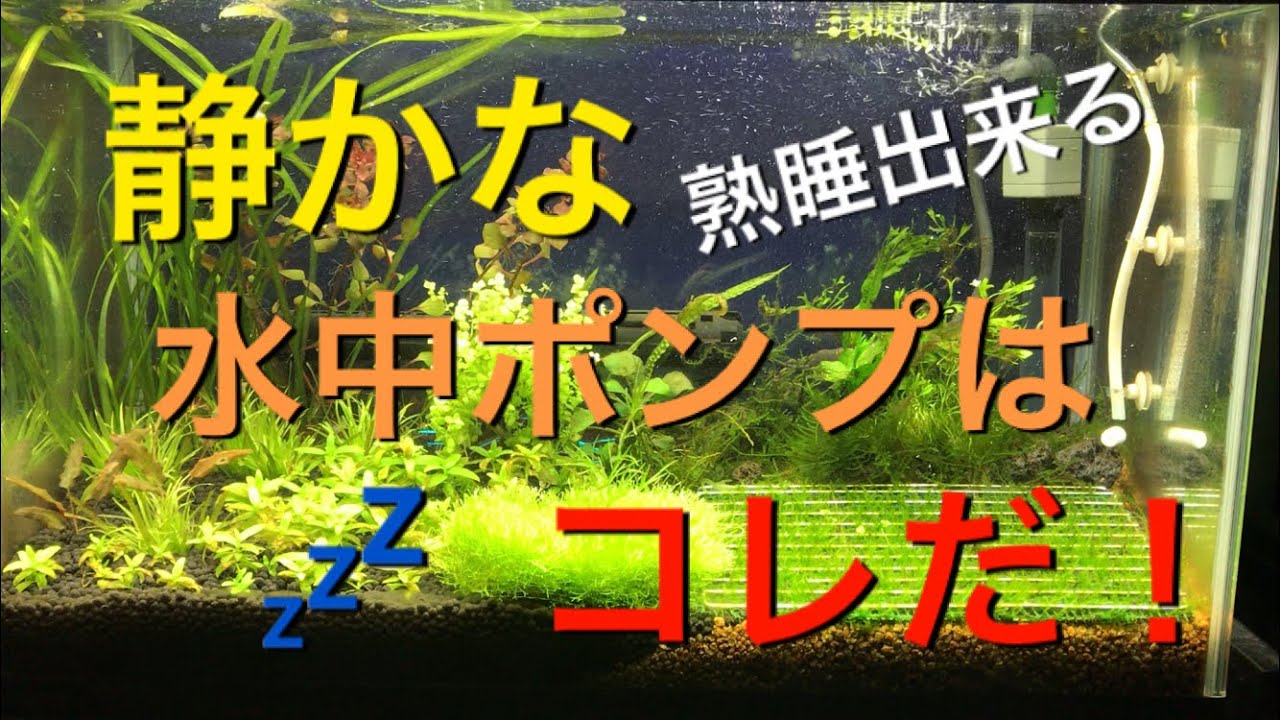 アクアリウム 水中ポンプを加工して静かな夜を手に入れたい Tank Aquarium アクアリウム Youtube