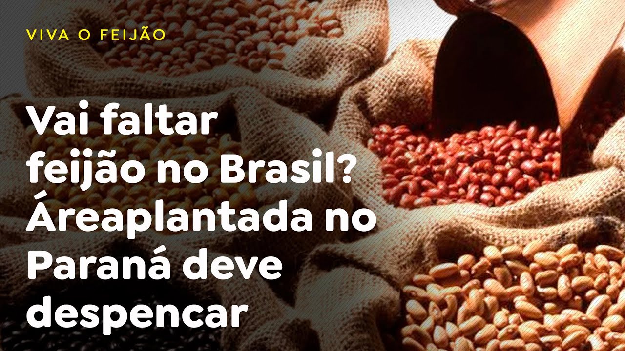 Vai faltar feijão no Brasil? Área plantada no Paraná deve despencar.