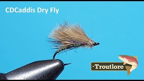 CDCaddis Dry Fly Pattern - Troutlore Fly Tyng