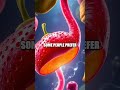 Fruit Coatings Unveiled: The Hidden Layer Between Freshness and Safety